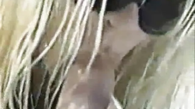 Dla dorosłych bez rejestracji Cieszyć darmowe filmy xxx online się nastolatka, azjatycka nastolatki nylon