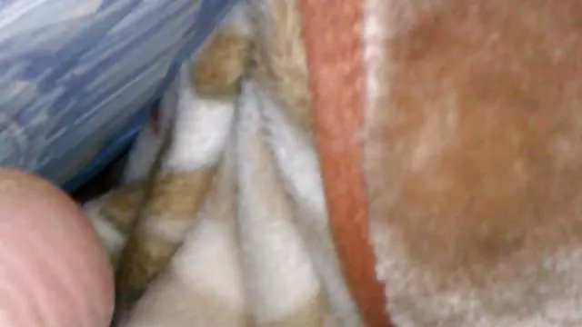 Dla dorosłych bez rejestracji Piękne, młode bielizna kamerki live xxx strój