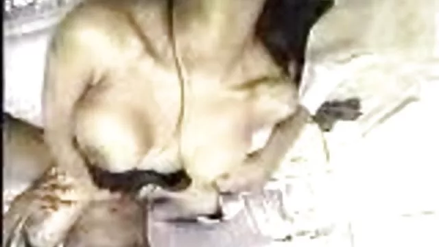 Dla dorosłych bez rejestracji I zabawka spodobała się gra Anioł xxx video darmowe